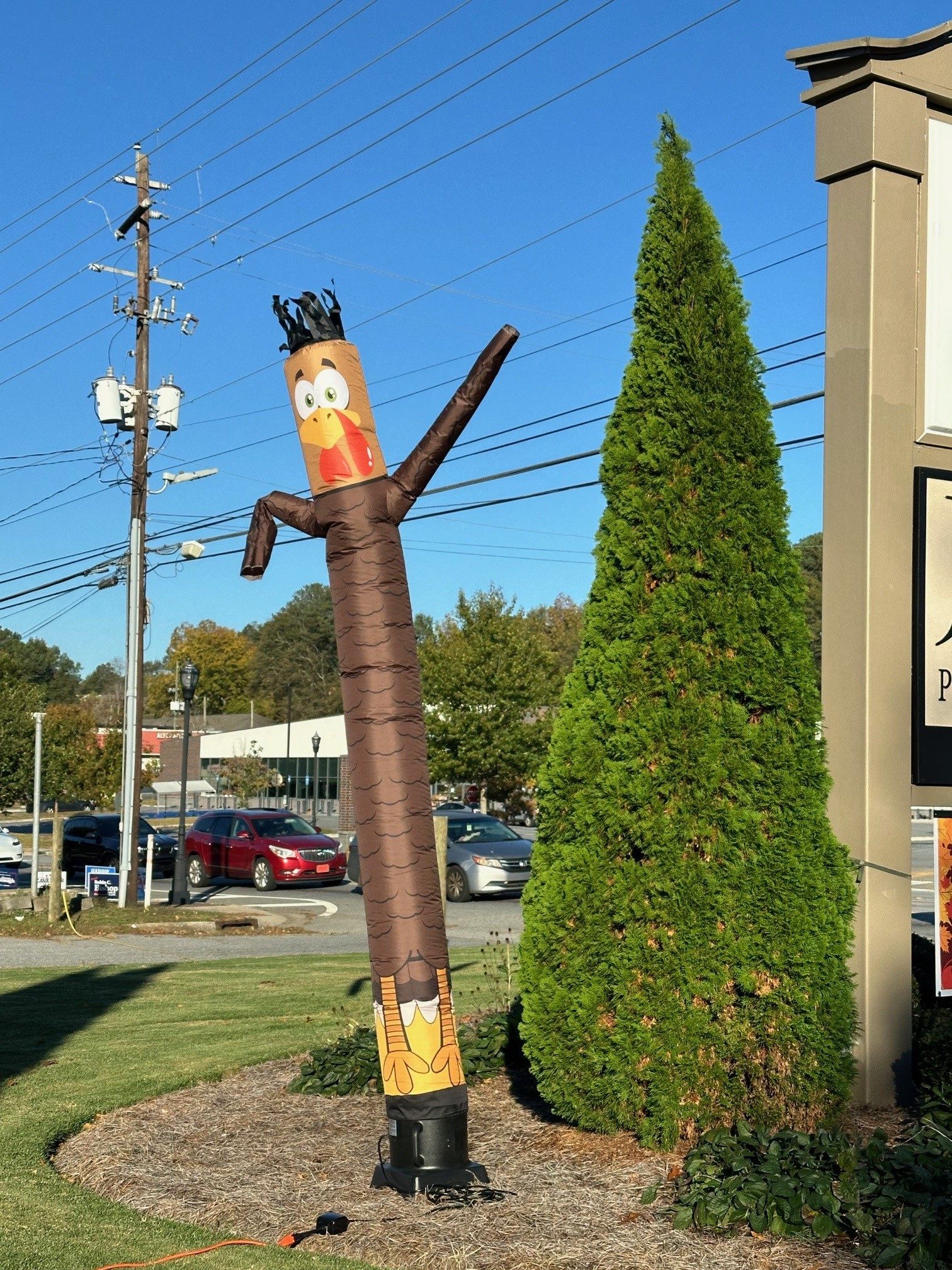 Gobbles-The-Air-Dancer