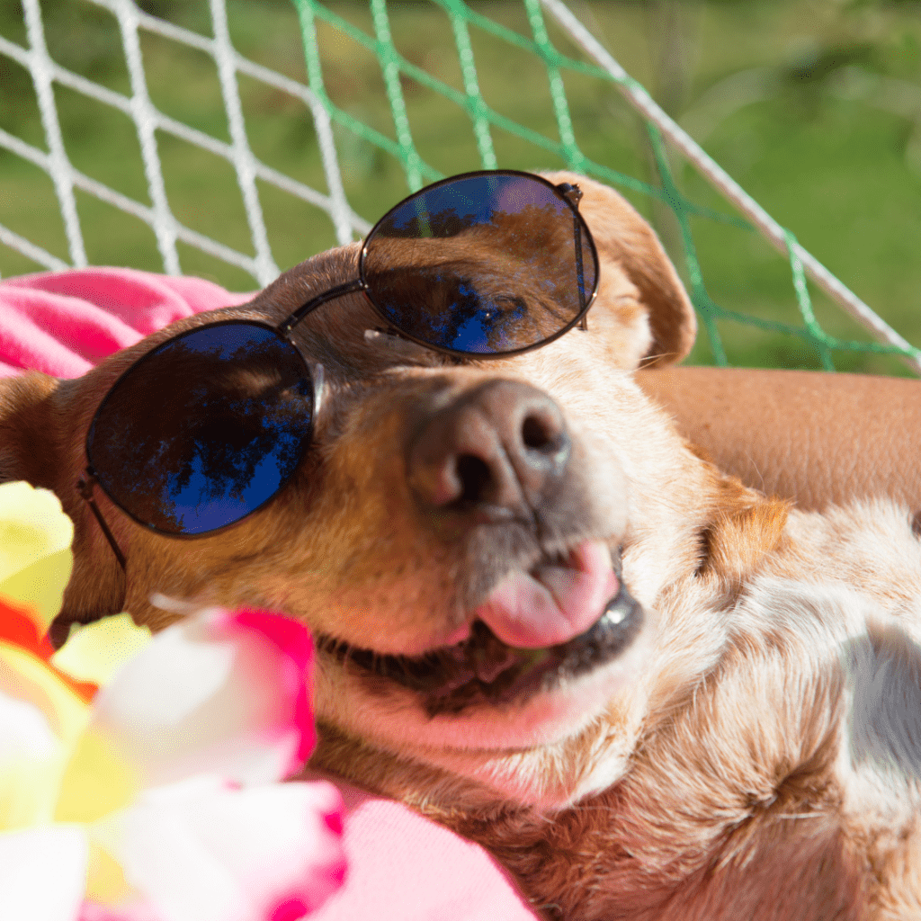 Travel Smart: A Vacation Safety Checklist